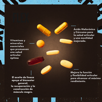 ANIMAL PAK 44 SOBRES