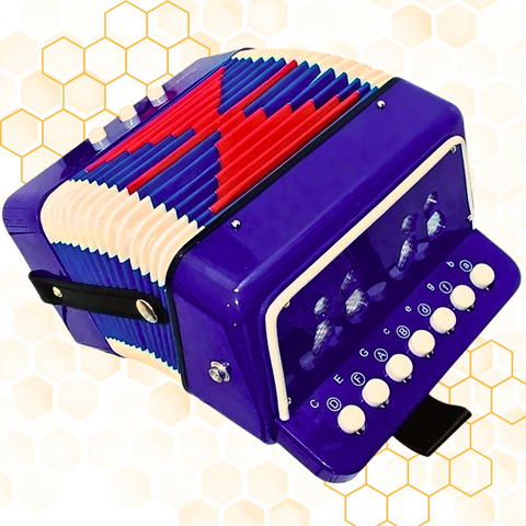 Acordeon Infantil Vallenato Niños Aprend