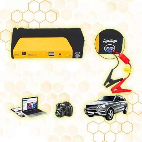 Cargador de batería para carro, pantalla LED, cargador de batería para Moto y camión