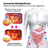 FAJA MODELADORA DE IONES NEGATIVOS  - Compra 2 y llévate la tercera gratis